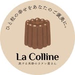 lacolline_2023 profile picture