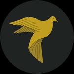 lacolombedorhtx profile picture