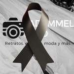 lademmel profile picture