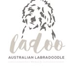 ladoo.mx profile picture
