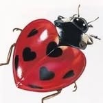 lady.bugged profile picture