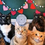 lady.ragdoll.and.the.butler profile picture