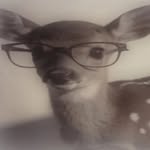 ladyydeer profile picture