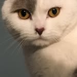 laetitiahotte profile picture