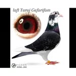 laft.duman._.2002 profile picture