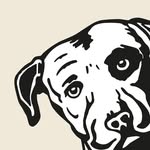 lagunitasbeerbr profile picture