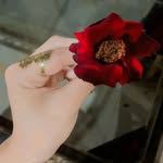 lailahamada543 profile picture