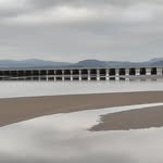 lakelandgall profile picture