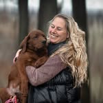 lakeviewlabradors profile picture