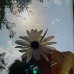 lakshita_293 profile picture
