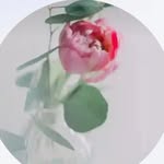 lamiya.1651943 profile picture