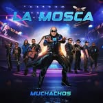 lamoscaoficial profile picture