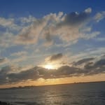 lam_yousfi_5544 profile picture