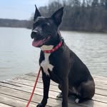 lanadelrufff profile picture