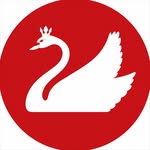 lanaofficial.vn profile picture