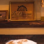 lanonninapizza profile picture