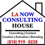 lanowconsulting profile picture