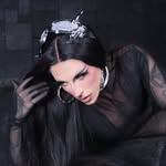 lapolucion profile picture