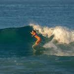 lara.dejong profile picture
