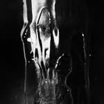 larsnedlandofficial profile picture