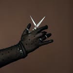 lashesandshears profile picture
