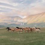 lashesbyla__ profile picture