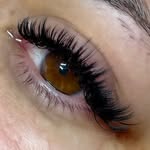 lashgawwd.miami profile picture