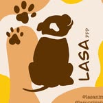 lasonrisappp profile picture