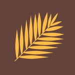 laspalmasnash profile picture