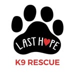 lasthopek9 profile picture