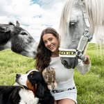 lau.vet profile picture