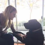 lauradern profile picture