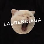 laurenciaga_ profile picture