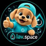 lav.space.alegrete profile picture
