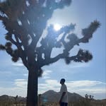 lawkjackson profile picture