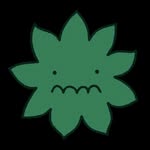 lawn.band profile picture
