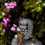 lawyartist profile picture