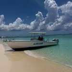 lazydaz345 profile picture