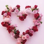 lbnh_lly profile picture