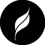 leaf.studios profile picture