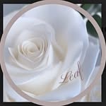 leaf7248 profile picture