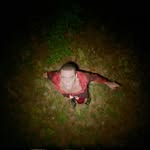 leaflieber profile picture