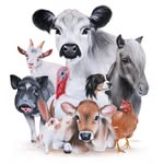 lebenshof_odenwald profile picture