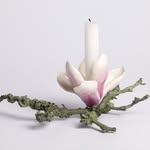 lecabinetdeporcelaine profile picture