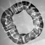 lecavalier.studio profile picture