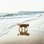 lecercle profile picture