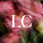 leconsultantcolombia profile picture