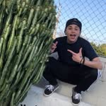 lee23martinez profile picture