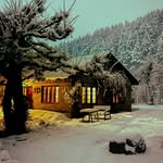 leela.huts.manali profile picture