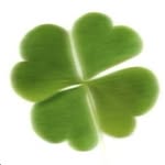leerodriguez profile picture